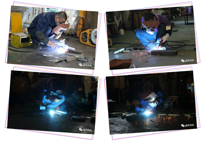 選手風采 選手風采